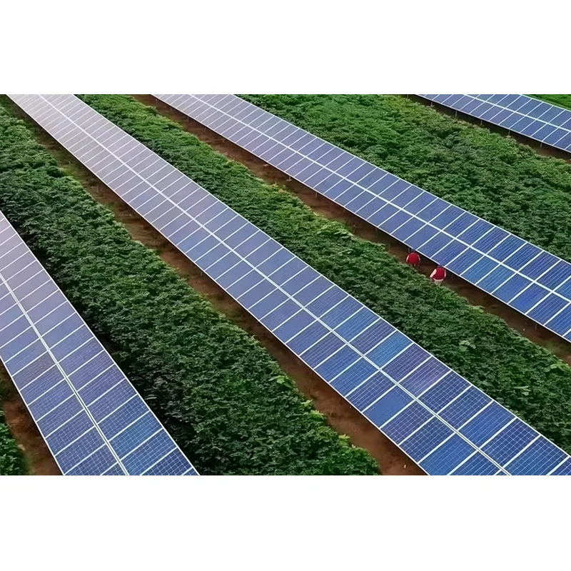 Apa sing Ndadekake Sistem Tracker Solar Sumbu Tunggal Miring sing Efektif kanggo Proyek PV Modern?